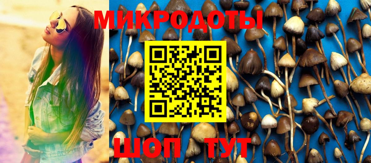 Псилоцибиновые грибы GOLDEN TEACHER  Вход с VPN  где найти наркотики  Дивногорск 