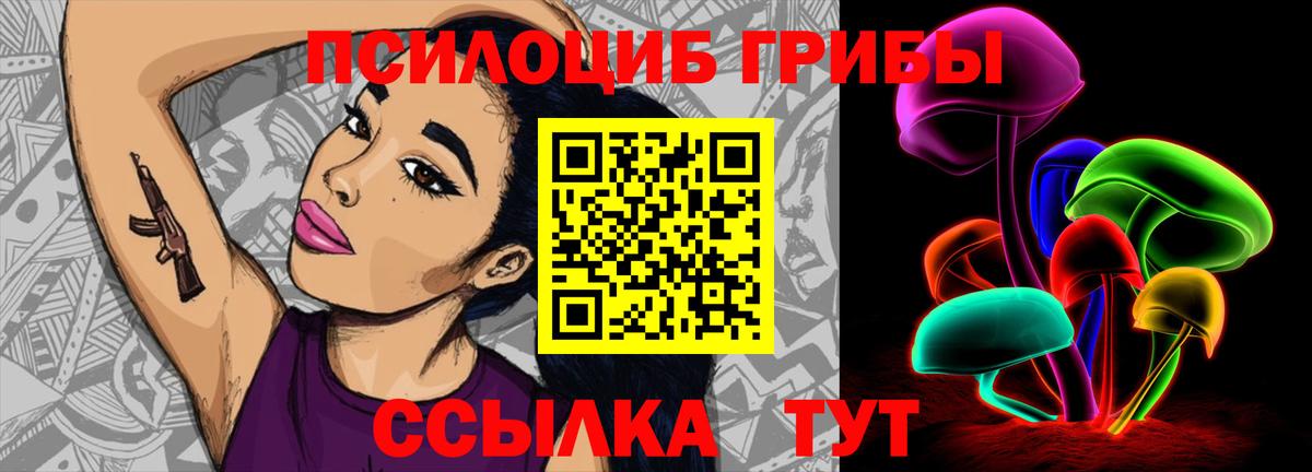 Галлюциногенные грибы Psilocybe Дивногорск
