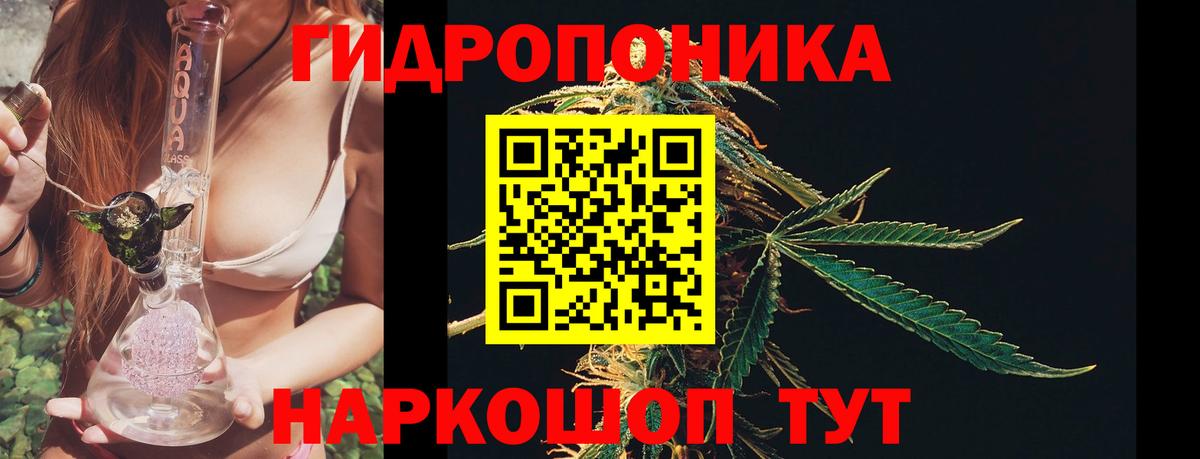 Каннабис THC 21%  Бошки марихуана тримм  Вход с VPN  Шишки марихуана ГИДРОПОН  Дивногорск 